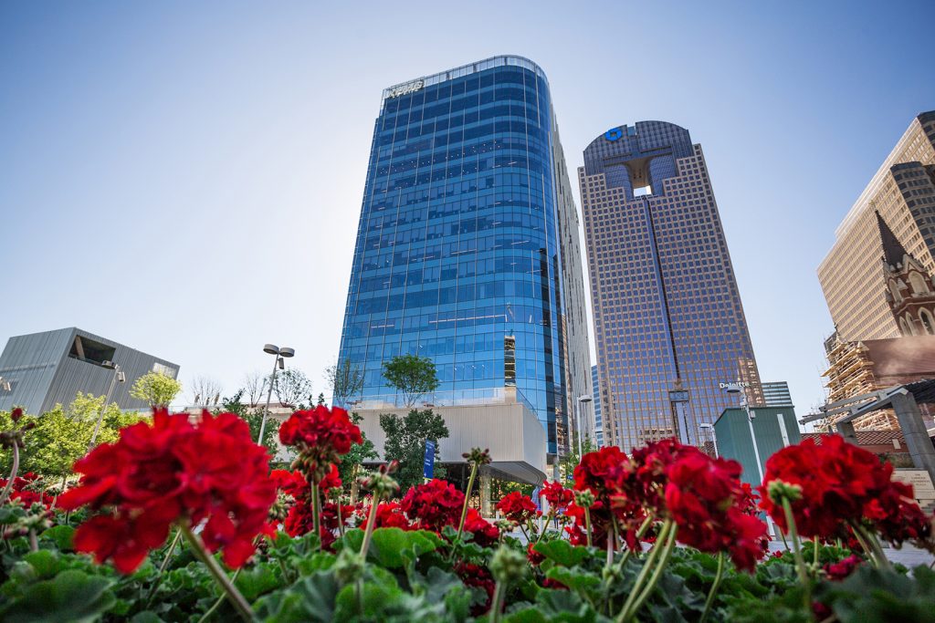 View of KPMG Plaza at Hall Arts from flowers.